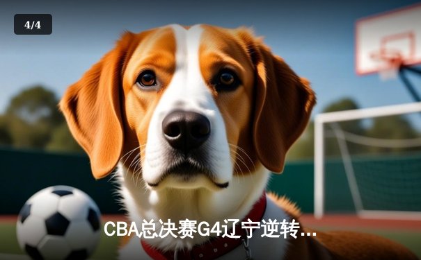 CBA总决赛G4辽宁逆转新疆夺赛点 弗格34分赵继伟伤退引悬念 - 4