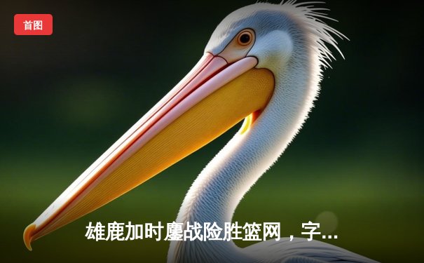 雄鹿加时鏖战险胜篮网，字母哥44分率队捍卫主场